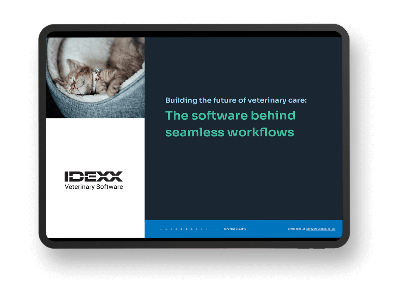 IDEXX-Software-development-whitepaper-mock