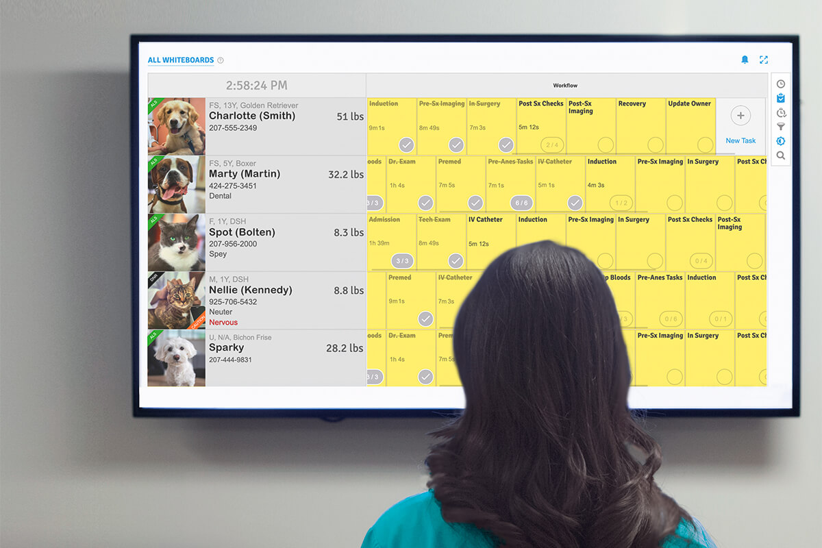 SmartFlow-whiteboard